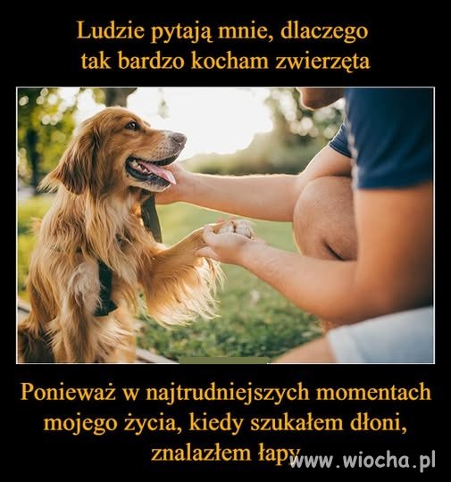 I taka jest prawda