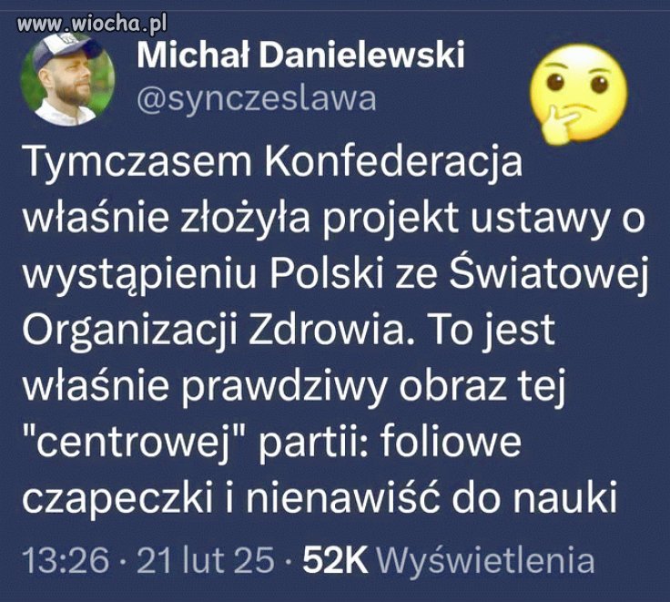 Pomysły konfederacji