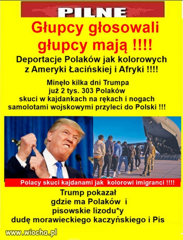 Trump potrzebował tylko głosów Polonii w USA...