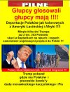 Trump potrzebował tylko głosów Polonii w USA...