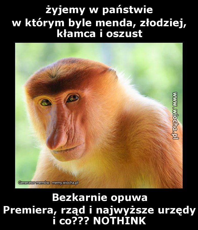 żyjemy w państwie