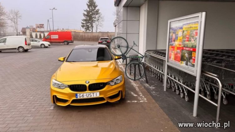 Kolejna ameba umysłowa