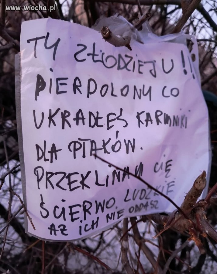Sugerując się słownictwem