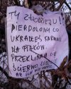 Sugerując się słownictwem