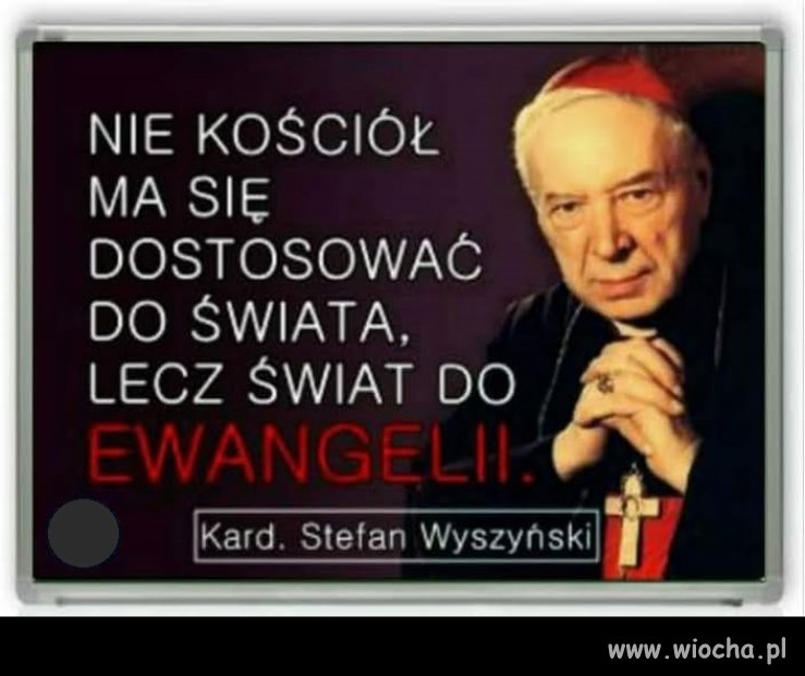 Takiego wała jak Polska cała !