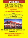 Bo Obajtek to drugi dyzma pajac pisowski nieudacznik