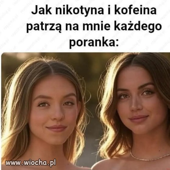 No coś w tym jest 