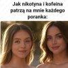 No coś w tym jest 