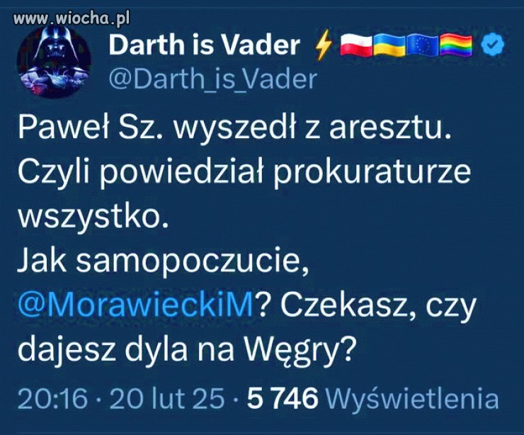 Pytanie do Pinokia