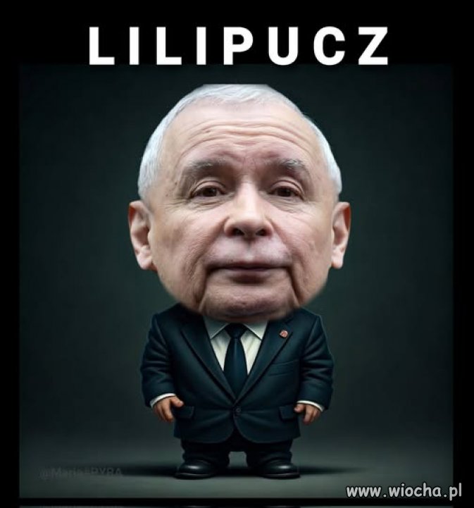 Taki mały pisowski puczyk ...