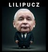 Taki mały pisowski puczyk ...