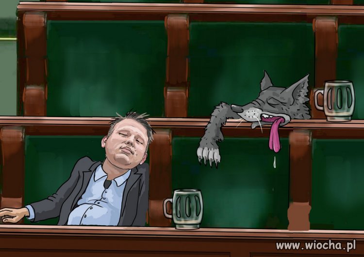 Konfa. I tyle na ten temat. I Braun…