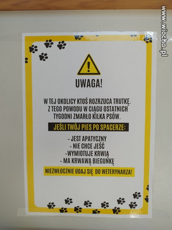 W jednej z przychodni weterynaryjnych.