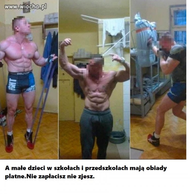 Państwo dykta