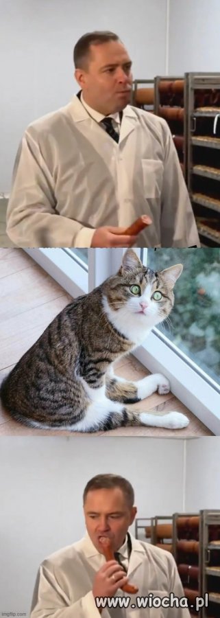 Niby taki obywatelski