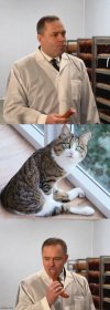 Niby taki obywatelski