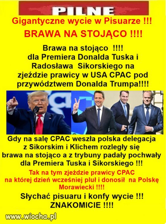 Wielki szacunek dla premiera Tuska i ministra Sikorskiego