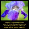 Tym razem coś miłego...dla balansu.