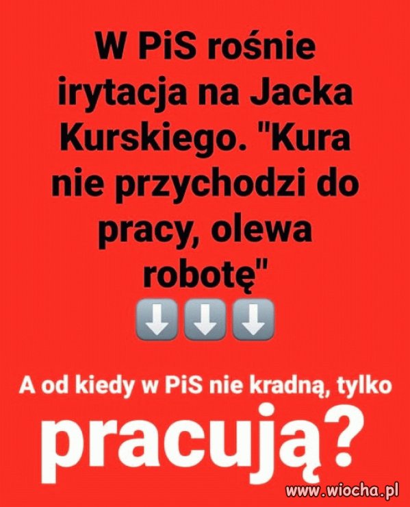 Kurski wagaruje