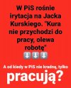 Kurski wagaruje