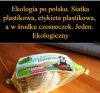 Ekologia 