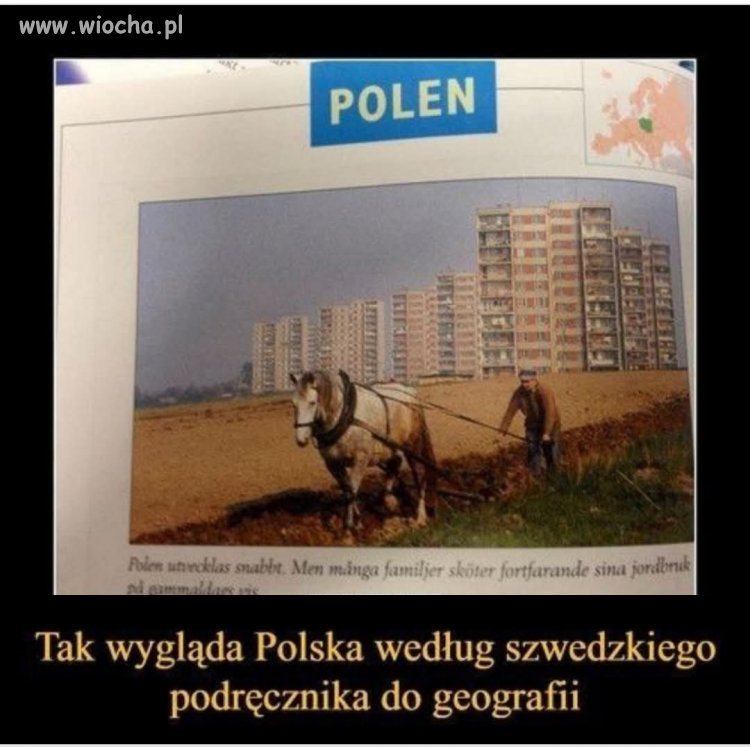 O kurcze 