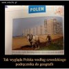 O kurcze 