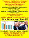 Dla PiSu liczyła się tylko kasa i władza,okradania narodu!