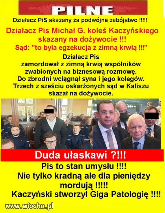 Dobrane towarzystwo w tym PiSie Kaczyńskiego...