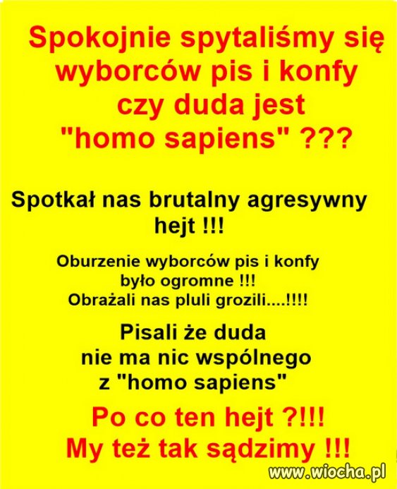 Jak to świadczy o ich inteligencji? Nie najlepiej!