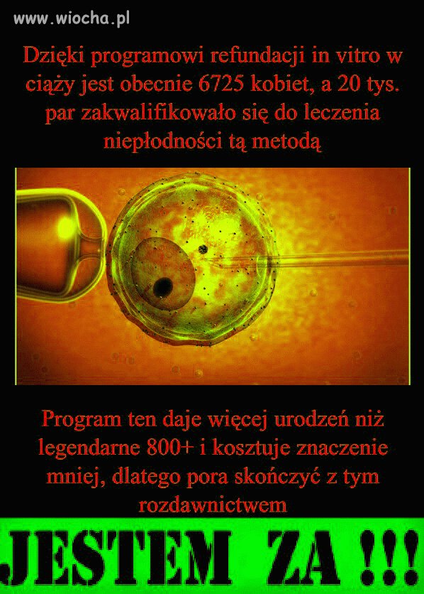 Dokładnie tak