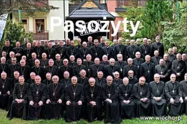 Czarna Stonka Ziemska jeden z głównych pasożytów