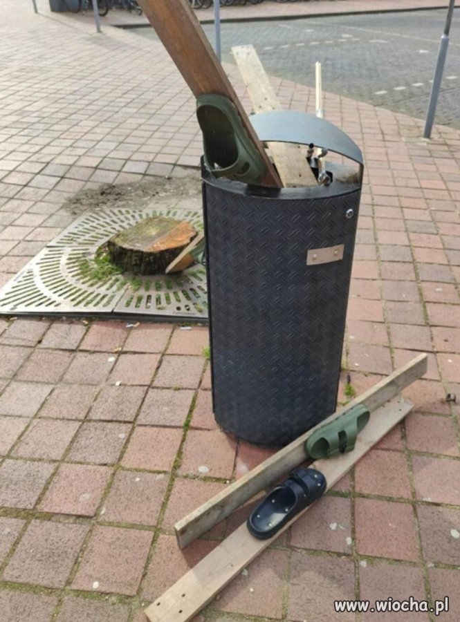 Śniegu nie ma, ferie skończone 