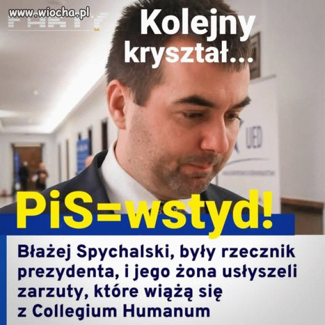 Pisowskie ścierwa
