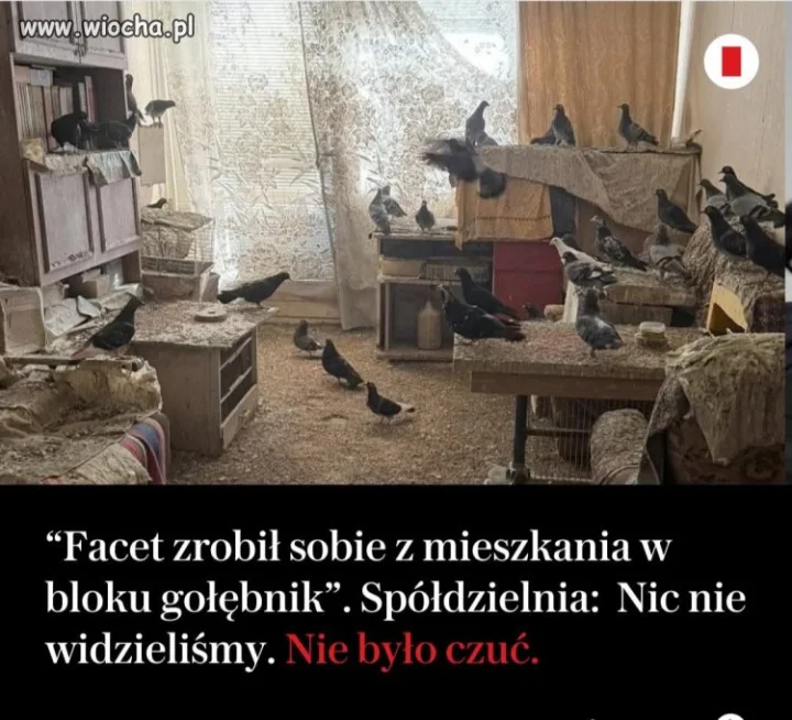Toruń 