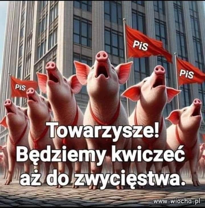 Towarzysze i towarówki, słuchacze i słuchawki ...