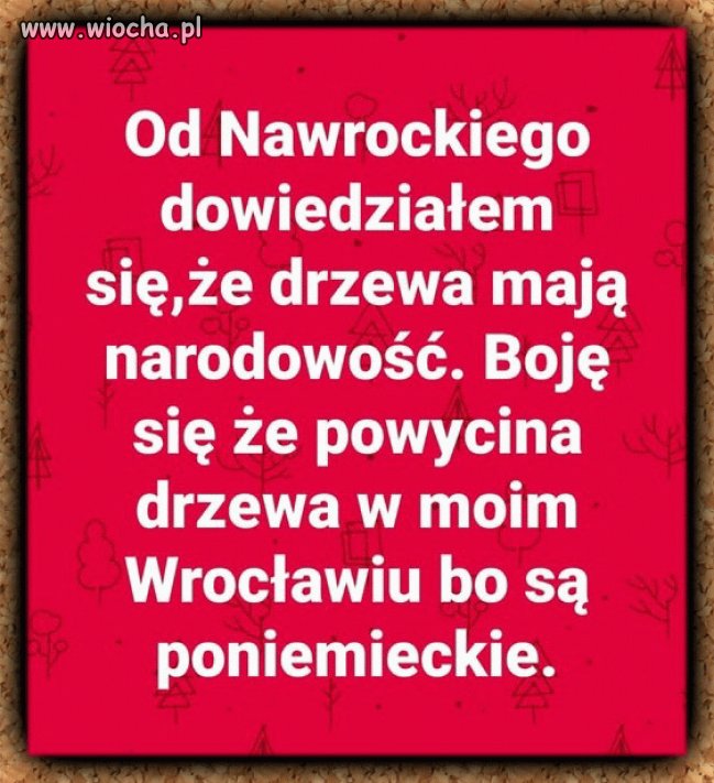 Alfons to taki sam debil jak Anżej