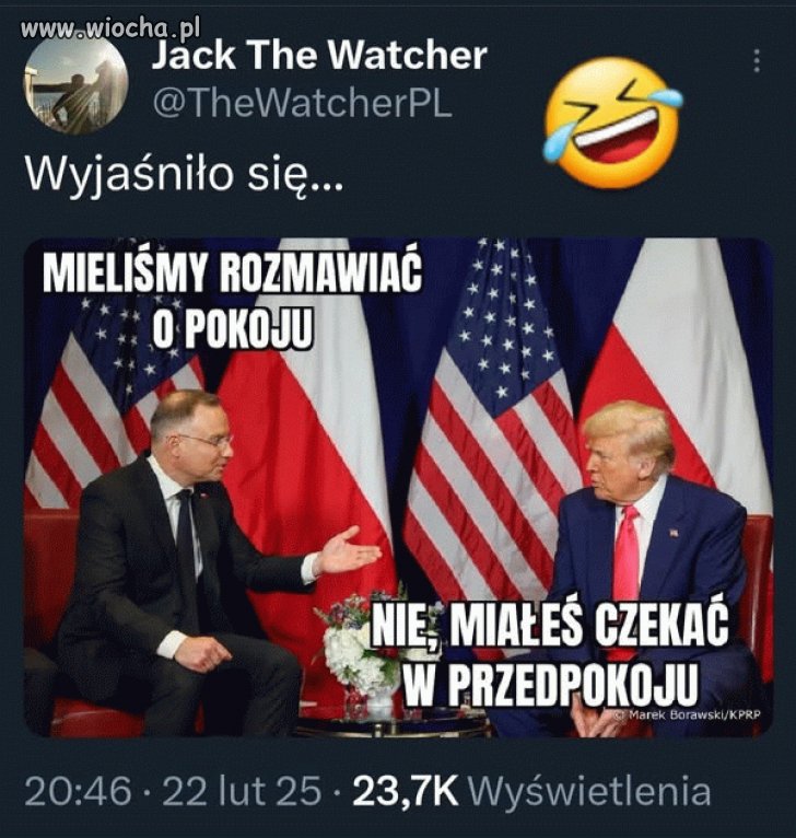 Anżej to taki kundel do pogłaskania