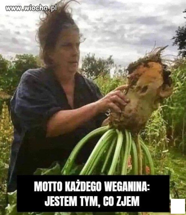 Weganin jesteś tym co jesz 
