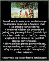 W ogóle się kupy nie trzyma. GIGANTYCZNE OSZUSTWO