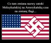 Czerwona swastyka pasuje do ekipy Trumpa coraz bardziej !