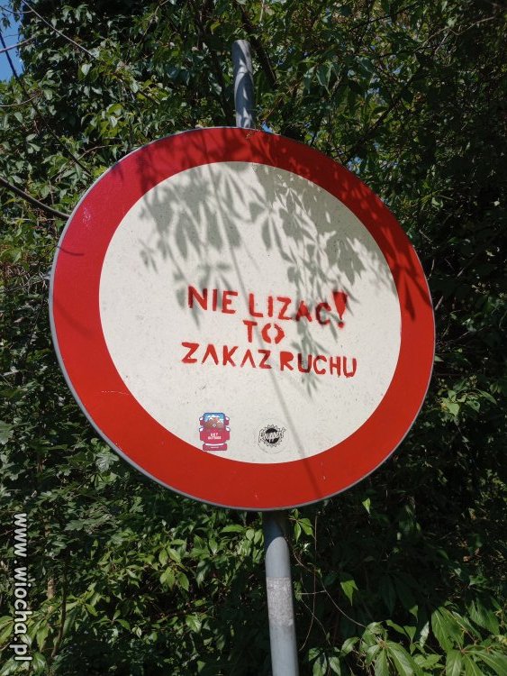 Niektórzy widzą w nim aureolę
