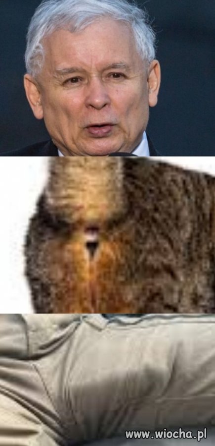 Stary dziad z Żoliborza.