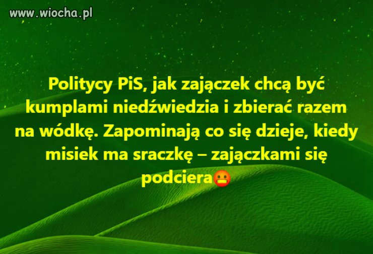 Pamiętaj o tym pisowcu