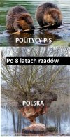 PISdokracja