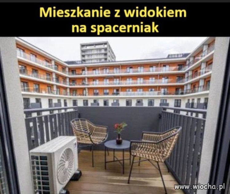 Patodeweloperka