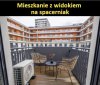 Patodeweloperka