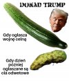 Great again 