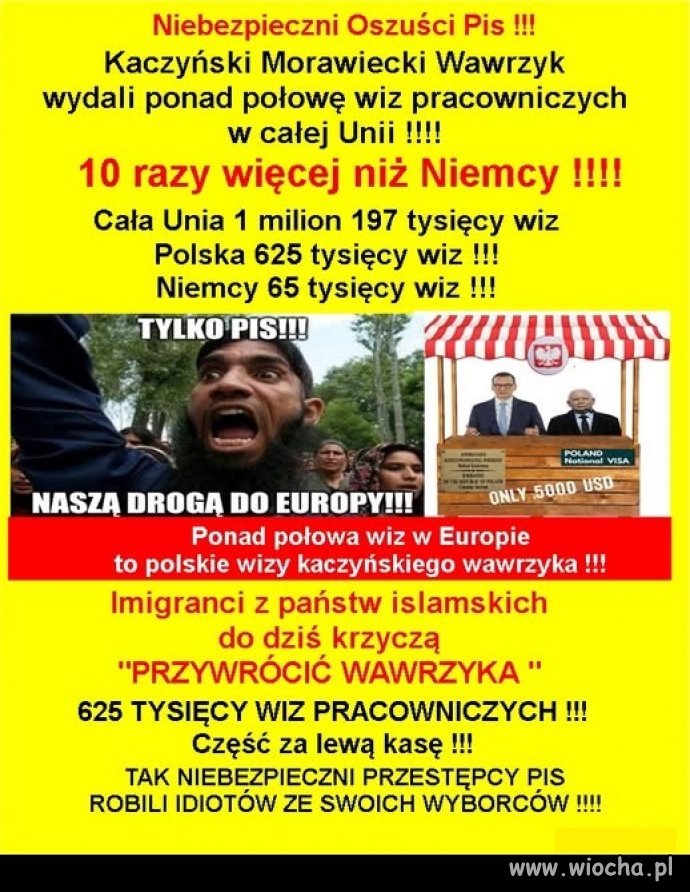 Cała prawda o imigrantach !
