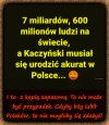 Jak pech to pech